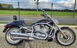 Harley-Davidson VRSCAW V-ROD 1250 VROD + HELM - Offers matching your search criteria