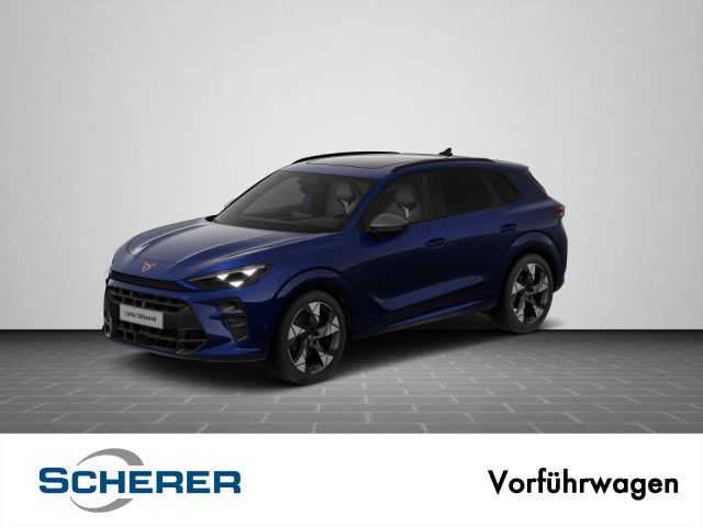 Image of Cupra Terramar