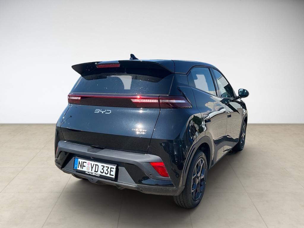 BYD DOLPHIN SURF