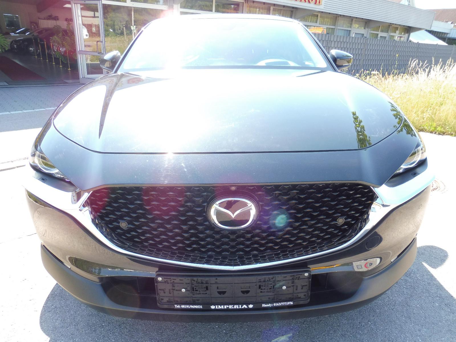Mazda CX-30 Selection Automatik CarPlay Hud