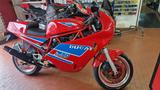Ducati 750 Sport - DUCATI 750 SPORT