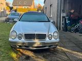 Mercedes-Benz 200 clk Cabrio  ohne Rost und Mängel top  ... - Mercedes-Benz 200: Cabrio, Clk
