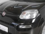 Fiat Panda 1.0 GSE Hybrid - gebrauchte Fiat Panda aus dem Jahr 2024
