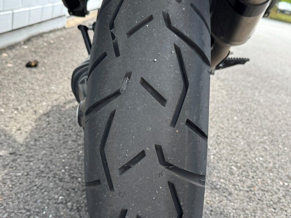 Fahrzeugabbildung Triumph Tiger 1200er Desert Edition Koffer Bügel Scheibe