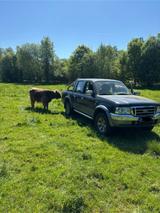 Ford Ranger XLT / 02.2006 - gebrauchte Ford Ranger aus dem Jahr 2006