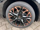 Cupra Terramar VZ 2.0 TSI DSG 4Drive LEDER AHK 5J GAR - Cupra Terramar Tageszulassungen