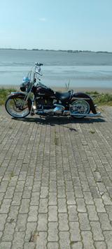 Harley-Davidson FLSTS  Springer Chicanostyle 