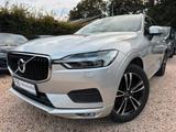 Volvo XC60 T5 AWD Momentum Kamera*AHK*ACC*Navi - Volvo XC60 Momentum mit Benzin-Antrieb
