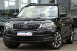 Skoda Kodiaq 1.5 TSI ACT DSG  Drive 125 - Skoda Kodiaq in Osnabrück