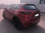 Mazda CX-5 2.5 Edition 100 AWD 360* Headup 8fach-Reife - Mazda CX-5 Gebrauchtwagen in Stuttgart