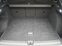 Cupra Terramar - Vorschau Bild 12