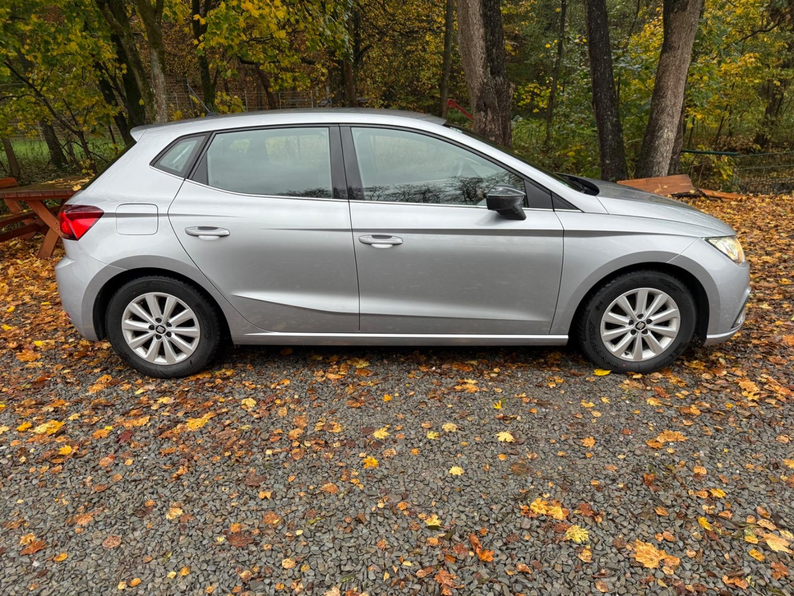 Seat Ibiza Xcellence