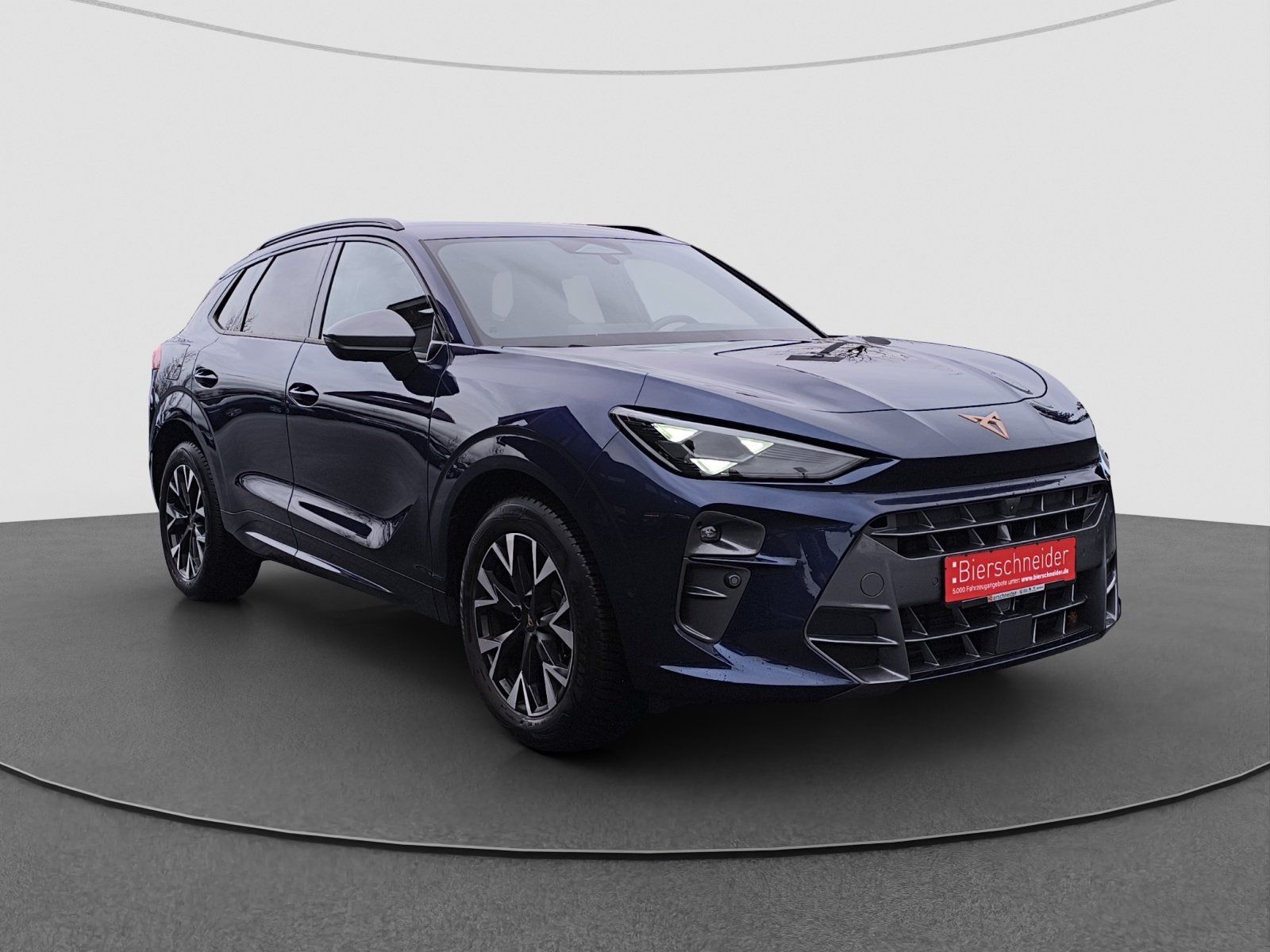 Cupra Terramar - Bild 6