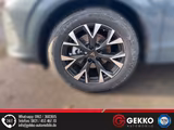 Cupra Terramar SUV +APP+LED+KAMERA+ACC+SZH+KESSY+Heckk - Cupra Terramar Neuwagen