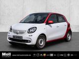 Smart forfour 66 kW Sportpaket Panorama Klimaautom Tem