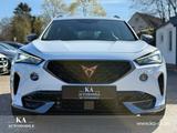 Cupra Formentor 2.0 TDI 4D Kamera Pano Leder Acc Carpl - Cupra Formentor mit Diesel-Antrieb: Automatik
