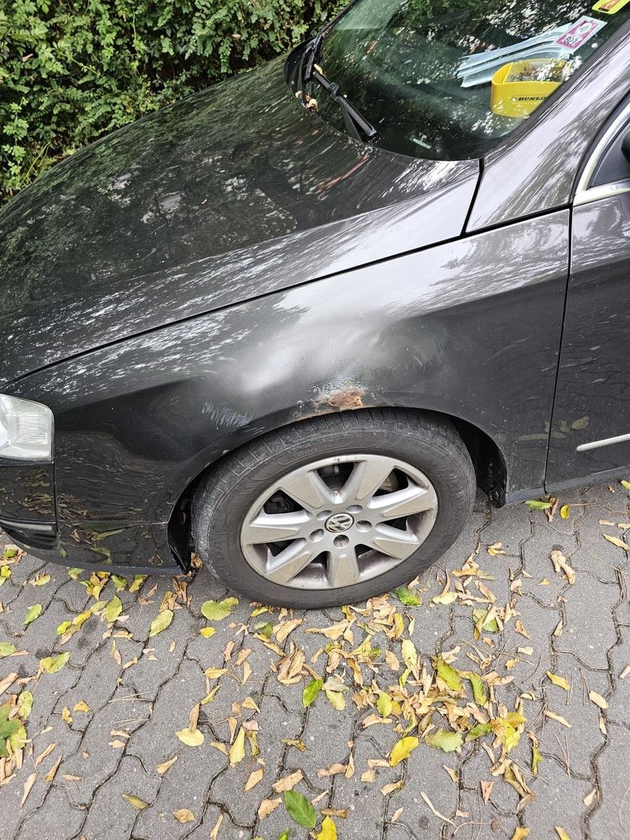 Volkswagen Passat 2010 — вигляд ззаду