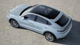 Porsche Cayenne Coupé Sportabgas BOSE - gebrauchte Porsche Cayenne aus dem Jahr 2024