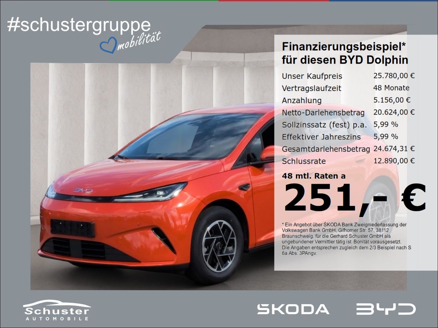 BYD DOLPHIN