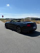 Ford Mustang Cabrio 2.3 EcoBoost GARANTIE  - gebrauchte Ford Mustang aus dem Jahr 2021