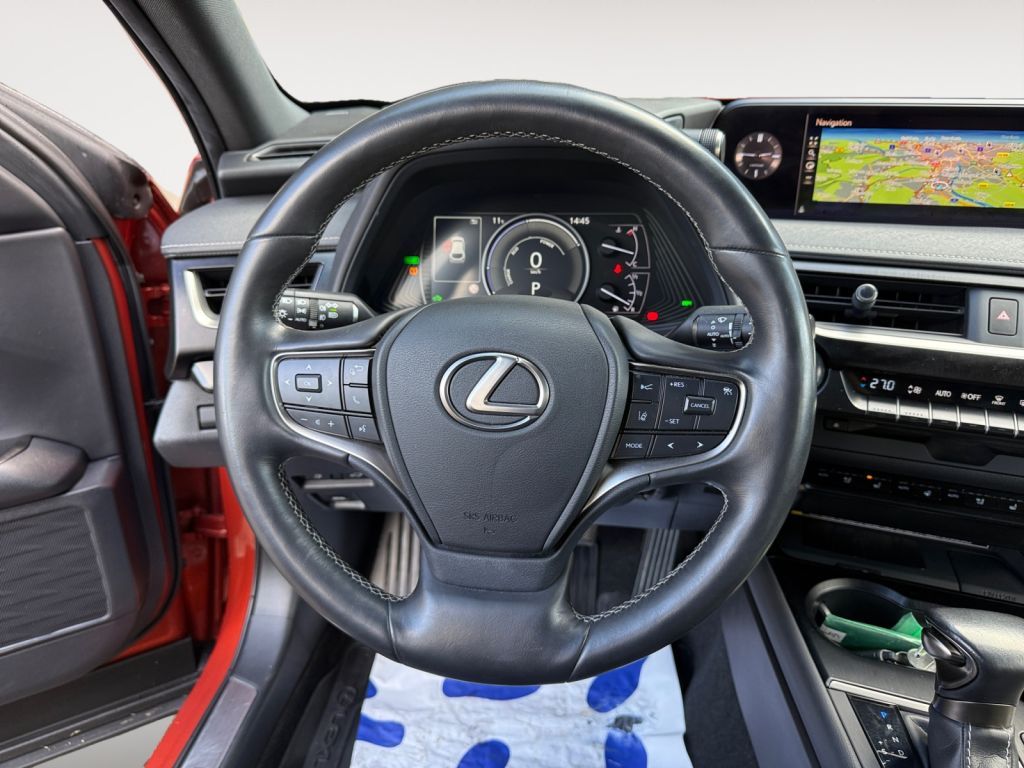 Fahrzeugabbildung Lexus UX 250h  (E-FOUR) Luxury Line