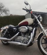 Harley-Davidson Sportster Super Low 883 - HARLEY-DAVIDSON SPORTSTER 883 LOW
