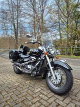 Suzuki VL 800 VOLUSIA  - SUZUKI VL 800 VOLUSIA