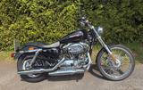 Harley-Davidson Sportster 1200 Custom (XL1200C) - HARLEY-DAVIDSON 2010 SPORTSTER 1200