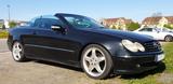 Mercedes-Benz MB CLK 320 Cabrio W209 Avantgarde Mercedes... - Mercedes-Benz CLK 320 aus 2006