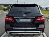 Mercedes-Benz ML 350 BlueTEC 4MATIC AMG Line - Mercedes AMG gebraucht