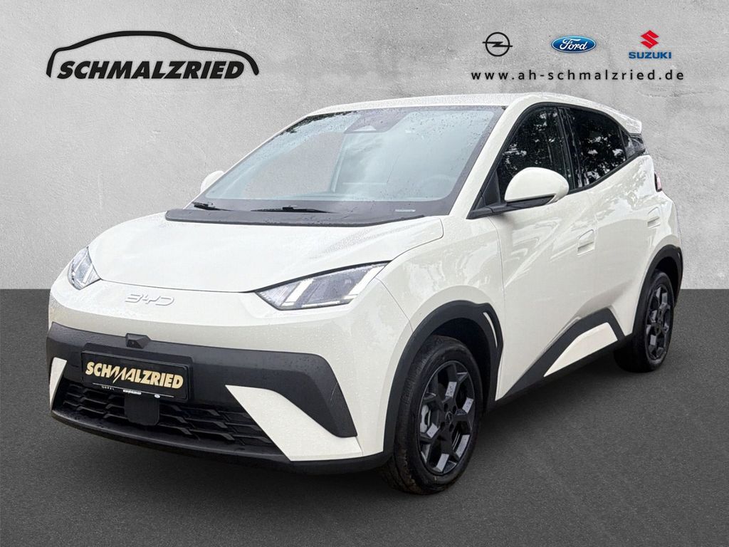 Image of BYD DOLPHIN SURF