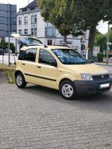Fiat Panda - Fiat Panda Gebrauchtwagen in Dortmund
