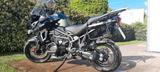 Triumph Tiger 1200 Explorer XCA - Offers