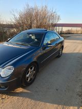 Mercedes-Benz CLK 220 CDI AVANTGARDE Avantgarde - Mercedes-Benz CLK 220: Cdi Avantgarde