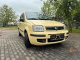 Fiat Panda 1.1 - Fiat Panda in Halle