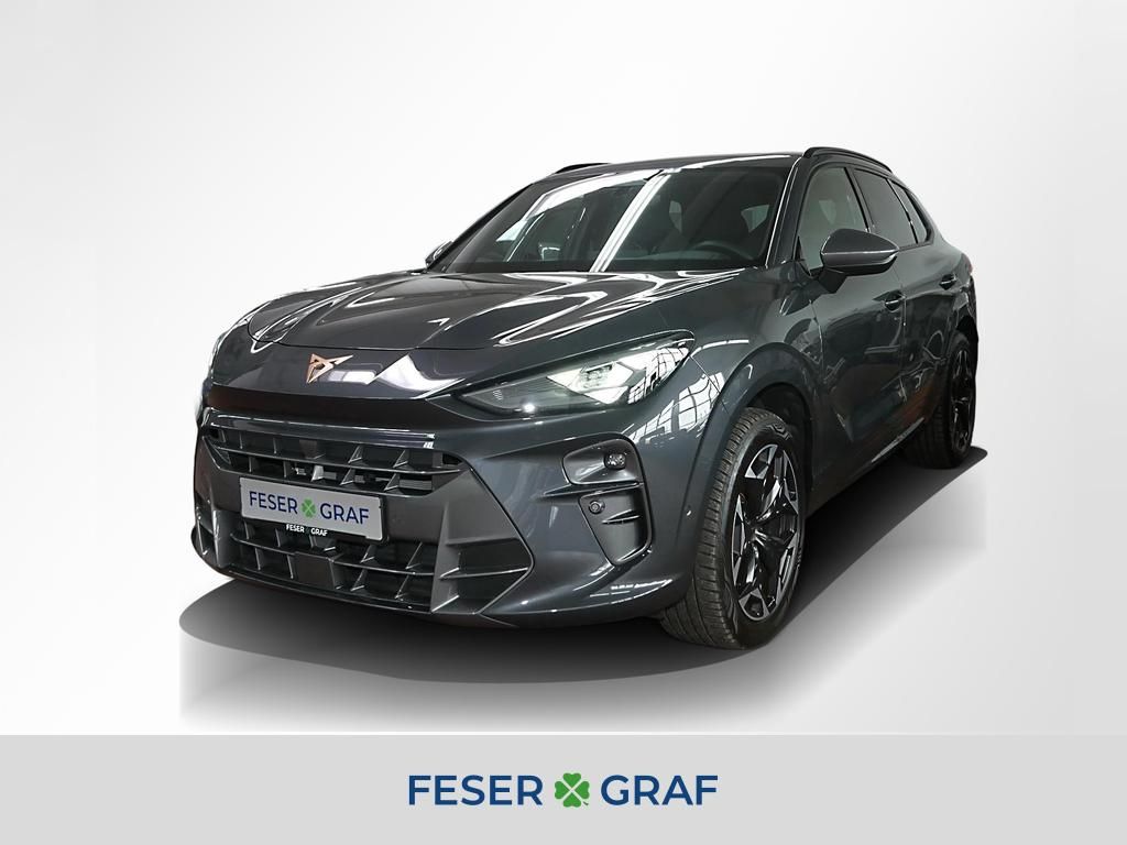 Image of Cupra Terramar