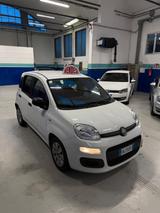 Fiat Panda 1.3 MJT S&S Pop - Fiat Panda POP mit Diesel-Antrieb