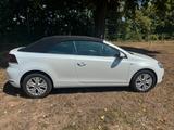 Volkswagen Golf 1.4 TSI 90 kW LIFE Cabriolet  - Volkswagen Golf: 1.9