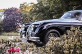 Jaguar XK 150 FHC - Jaguar: X150