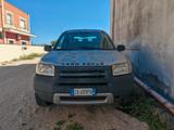 Land Rover Freelander 2.0 Td4 16V cat 3p. Softba - gebrauchte Land Rover Freelander aus dem Jahr 2002