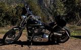 Harley-Davidson FXSTS Springer Costum - Offers