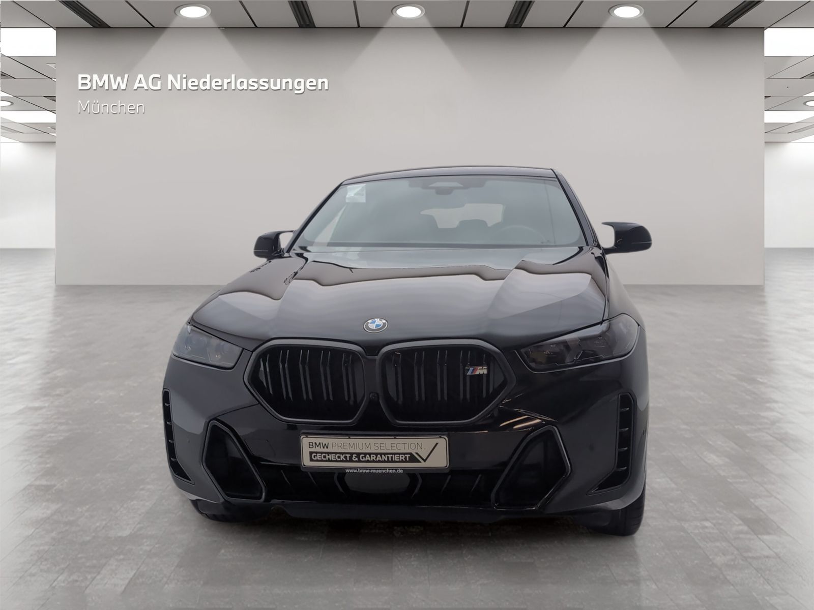 BMW X6 M60 - Bild 4
