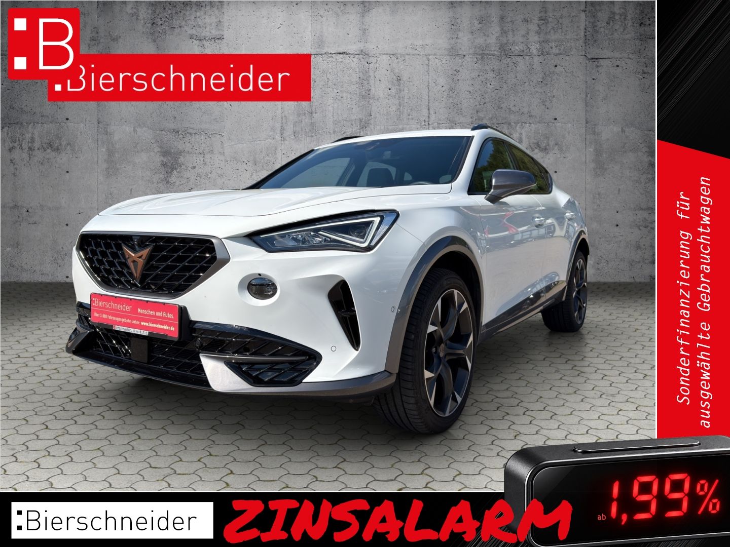 Cupra Formentor 2.0 TDI DSG 4Drive 5-J-GARANTIE AHK NA