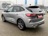 Ford Kuga ST-Line X AHK PanoSD Winterpaket Headup B&O - Euro5 Gebrauchtwagen