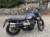 Triumph Street Scrambler Goldline - TRIUMPH STREET SCRAMBLER