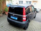 Fiat Panda 1.1 8V Active Allwetterreifen Klima TÜV ne - gebrauchte Fiat Panda aus dem Jahr 2010