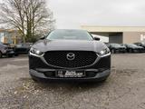Mazda CX-30 SKYACTIV-G 2.0 M Hybrid - Mazda CX-30 Gebrauchtwagen