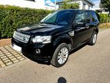 Land Rover Freelander 2.2 Xenon Leder AHK PANO Navi Scheckh - Land Rover Freelander: Freelander2