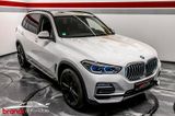 BMW X5 xDrive 40i xLine/ DE / hohe Ausstattung - BMW X5: De