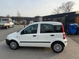 Fiat New Panda 1.2 8V Classic TÜV NEU/2. HAND/USB - scheckheftgepflegte Fiat New Panda